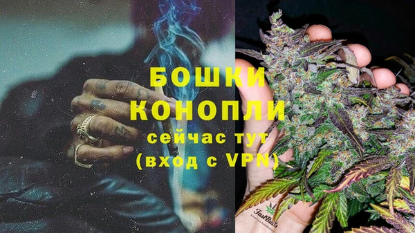 PSILOCYBIN Вуктыл