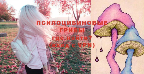 PSILOCYBIN Володарск